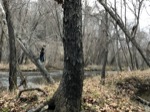 resIMG_20191126_164442_6135.jpg